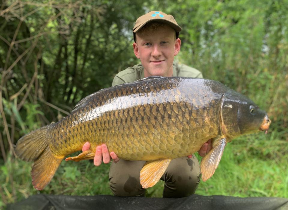 Conbeable Carps Lovely Common | Total Carp